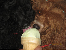 ���� � ����� 338.jpg