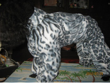 ���� � ����� 339.jpg