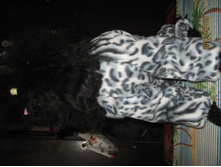 ���� � ����� 340.jpg