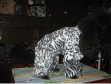 ���� � ����� 341.jpg