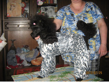 ���� � ����� 343.jpg