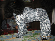 ���� � ����� 344.jpg