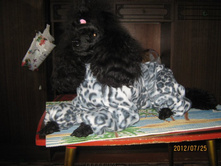 ���� � ����� 345.jpg