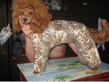 ���� � ����� 347.jpg