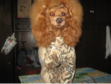 ���� � ����� 348.jpg