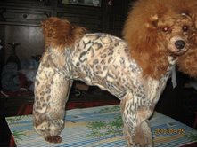 ���� � ����� 349.jpg