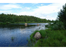 ����������� ����.