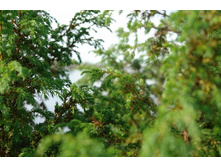 ������������.