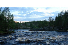 ������ �����