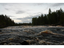 ����� �����.