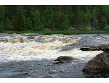 ���������� �������� - \"����� �������\" 