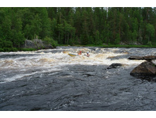 ���! �� ������ �����!