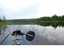 ������...