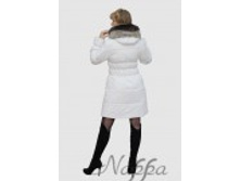 ����� ��� �� �����