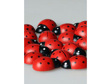 ����� ������� �� �������.JPG