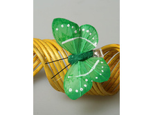 ������� �� ��������.jpg