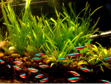 ��.�����