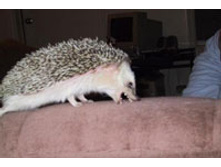 �������� �����.jpg