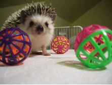 ���� � ��������.jpg