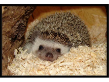 ���� � �������.jpg