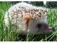 ���� � ������.jpg