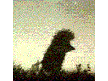 ���� � ������.gif