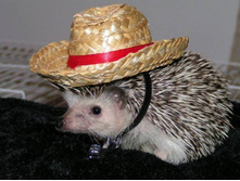 ���� � �����.jpg