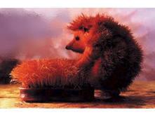 ���� � ݣ���.JPG