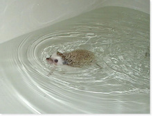 ���� ���ף�.jpg