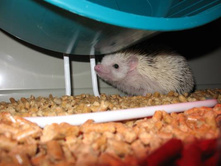 ���� ���-�� ����.jpg