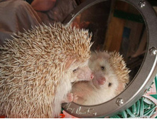 ����� � �������.jpg