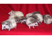 ��������� �����.jpg