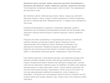 ���������_���_������� � ��������� ��������_����������.png