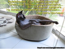 getImage (2).jpg