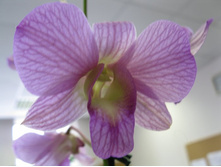 ���������� �������