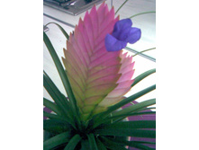 ���������� �����