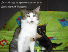 ������� ��� �������.jpg