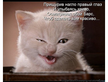 �������� ������ ����.jpg