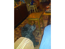 ��� �������� �� ����.JPG