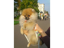 ��� ����� ����.jpg