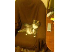 ����� ������.JPG