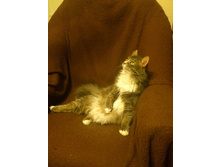 ����� ������2.JPG