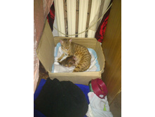 ����� � ����������.JPG