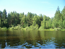 ���� 006.jpg