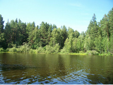 ���� 009.jpg