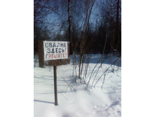 :) ������ �����