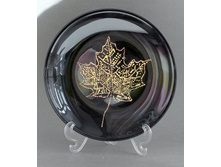 �������� ���� - �������