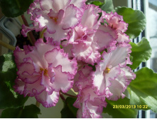 ��-������