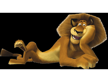 ��� ����� �� �����������.png