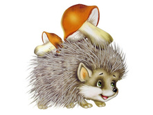 ���� � �������.jpg